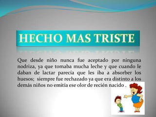 Que desde niño nunca fue aceptado por ninguna
nodriza, ya que tomaba mucha leche y que cuando le
daban de lactar parecía que les iba a absorber los
huesos; siempre fue rechazado ya que era distinto a los
demás niños no emitía ese olor de recién nacido .
 