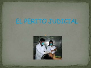 EL PERITO JUDICIAL 