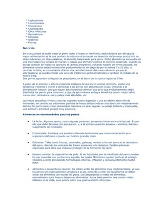 * Leptospirosis
* Leishmaniasis
* Coronavirus
* Criptorquidia
* Otitis infecciosa
* Reumatismo
* Epilepsia
* Diabetes
* Piorrea
Nutrición
En la actualidad se suele tratar al perro como si fuese un omnívoro, deduciéndose por ello que la
mejor alimentación es la que produce la industria al procesar los desechos del proceso productivo de
otras industrias, en otras palabras, el alimento balanceado para perro. Dicho alimento se encuentra en
una diversidad muy amplia de marcas y etapas que afirman favorece el correcto desarrollo. Cuando se
decide cambiar de marca es oportuno el cambio progresivo, evitando hacerlo de forma abrupta; los
alimentos nuevos deben introducirse gradualmente en un plazo de por lo menos 7 a 10 días, al
cambiar la dieta, es conveniente ofrecer una cantidad menor del nuevo alimento ya que al
sobrepasarse se pueden iniciar una serie de trastornos gastrointestinales o también el rechazo de la
nueva dieta.
Dos perros aguardan la llegada de pescadores, en el litoral de la cuarta región de Chile.
A pesar de lo anterior y ante la evidencia biológica de que es un animal carnívoro, existe una
tendencia creciente a volver a alimentar a los perros con alimentación cruda, imitando a la
alimentación natural. Los que siguen esta tendencia afirman que es lo que evolutivamente están
diseñados los perros para consumir, y que de esta manera se logra beneficios como: mejor salud,
menos olor, dentadura, piel y pelaje más saludable, etc.
Las heces pequeñas, firmes y oscuras sugieren buena digestión y una excelente absorción de
nutrientes, en cambio los volúmenes grandes de heces pálidas indican una absorción medianamente
óptima. Un perro sano y bien alimentado mantiene un peso regular, su pelaje brillante y manejable,
una actitud y actividad general muy dinámica.
Alimentos no recomendados para los perros
 La leche: Algunos perros, como algunas personas, presentan intolerancia a la lactosa. Es por
ello que debe dárseles con precaución, y, a la primera reacción adversa —vómitos, diarrea—
suspenderla de inmediato.
 El chocolate: Contiene una sustancia llamada teobromina que causa intoxicación en el
organismo del perro y puede ser fatal en grandes dosis.
 Golosinas: Tales como frituras, caramelos, galletas; tienden a formar sarro en la dentadura
del perro. Además los azúcares les hacen propensos a la diabetes. Existen golosinas
especiales para ellos que inclusive protegen de la formación de sarro.
 Huesos cocidos: En especial los de pollo. Al ser triturados por la mandíbula del perro pueden
formar esquirlas con puntas muy agudas, las cuales fácilmente pueden perforar el esófago,
intestino o recto provocando hemorragias internas, infección y consecuentemente mucho
dolor.
 Alimentos o desperdicios caseros: Se deben evitar los alimentos muy condimentados, ya que
los perros son especialmente sensibles a la sal, pimienta y chile. De igual forma se deben
evitar los alimentos con exceso de grasa. Los desperdicios o restos de alimentos,
normalmente poco frescos deben ser eliminados. No se debe permitir que coman restos
hallados en la calle, pues podría sufrir una gastroenteritis infecciosa.
 