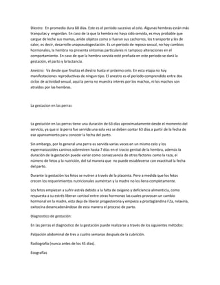 Diestro: En promedio dura 60 días. Este es el período sucesivo al celo. Algunas hembras están más
tranquilas y engordan. En caso de la que la hembra no haya sido servida, es muy probable que
cargue de leche sus mamas, anide objetos como si fueran sus cachorros, los transporte y les de
calor, es decir, desarrolle unapseudogestación. Es un período de reposo sexual, no hay cambios
hormonales, la hembra no presenta síntomas particulares ni tampoco alteraciones en el
comportamiento. En caso de que la hembra servida esté preñada en este periodo se dará la
gestación, el parto y la lactancia.
Anestro: Va desde que finaliza el diestro hasta el próximo celo. En esta etapa no hay
manifestaciones reproductivas de ningun tipo. El anestro es el periodo comprendido entre dos
ciclos de actividad sexual, aqui la perra no muestra interés por los machos, ni los machos son
atraídos por las hembras.
La gestacion en las perras
La gestación en las perras tiene una duración de 63 días aproximadamente desde el momento del
servicio, ya que si la perra fue servida una sola vez se deben contar 63 días a partir de la fecha de
ese apareamiento para conocer la fecha del parto.
Sin embargo, por lo general una perra es servida varias veces en un mismo celo y los
espermatozoides caninos sobreviven hasta 7 días en el tracto genital de la hembra, además la
duración de la gestación puede variar como consecuencia de otros factores como la raza, el
número de fetos y la nutrición, del tal manera que no puede establecerse con exactitud la fecha
del parto.
Durante la gestación los fetos se nutren a través de la placenta. Pero a medida que los fetos
crecen los requerimientos nutricionales aumentan y la madre no los llena completamente.
Los fetos empiezan a sufrir estrés debido a la falta de oxigeno y deficiencia alimenticia, como
respuesta a su estrés liberan cortisol entre otras hormonas las cuales provocan un cambio
hormonal en la madre, esta deja de liberar progesterona y empieza a prostaglandina F2a, relaxina,
oxitocina desencadenándose de esta manera el proceso de parto.
Diagnostico de gestación:
En las perras el diagnostico de la gestación puede realizarse a través de los siguientes métodos:
Palpación abdominal de tres a cuatro semanas después de la cubrición.
Radiografía (nunca antes de los 45 días).
Ecografías
 