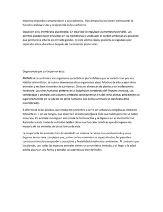 materna limpiarán y amamantarán a sus cachorros. Para limpiarlos los lamen estimulando la
función cardiovascular y respiratoria en los cachorros.
Expulsión de la membrana placentaria: En esta fase se expulsan las membranas fetales. Los
perritos pueden nacer envueltos en las membranas o unidos por el cordón umbilical a la placenta
que permanece intacta en el tracto genital. En este último caso la placenta se expulsará por
separado antes, durante o después de nacimientos posteriores.
Organismos que participan en esto:
ANIMALIA:Los animales son organismo eucarióticos pluricelulares que se caracterizan por sus
hábitos alimenticios: se nutren devorando otros organismos vivos. Muchos de ellos cazan otros
animales y reciben el nombre de carnívoros. Otros se alimentan de plantas y se les denomina
herbívoro. Los seres humanos pertenecen al Subphylum vertebrata del Phytum chordata. Los
vertebrados o animales con columna vertebral constituyen un 5% del reino animal, pero tienen un
lugar prominente en la vida de los seres humanos. Los demás animales se clasifican como
invertebrados.
A diferencia de las plantas, que producen nutrientes a partir de sustancias inorgánicas mediante
fotosíntesis, o de los hongos, que absorben la materiaorgánica en la que habitualmente se hallan
inmersos, los animales consiguen su comida de forma activa y la digieren en su medio interno.
Asociadas a este modo de nutrición existen otras muchas características que distinguen a la
mayoría de los animales de otras formas de vida.
La mayoría de los animales han desarrollado un sistema nervioso muy evolucionado y unos
órganos sensoriales complejos que, junto con los movimientos especializados, les permiten
controlar el medio y responder con rapidez y flexibilidad a estímulos cambiantes. Al contrario que
las plantas, casi todas las especies animales tienen un crecimiento limitado, y al llegar a la edad
adulta alcanzan una forma y tamaño característicos bien definidos.
 