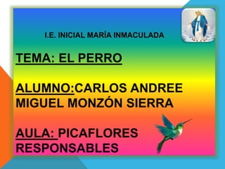 I.E. INICIAL MARÍA INMACULADA
TEMA: EL PERRO
ALUMNO:CARLOS ANDREE
MIGUEL MONZÓN SIERRA
AULA: PICAFLORES
RESPONSABLES
 