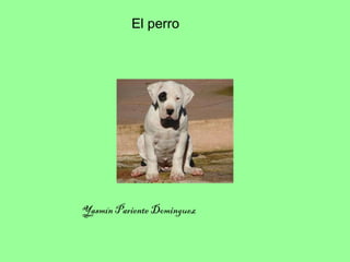El perro Yasmín Pariente Dominguez 