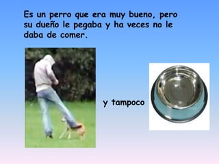 Es un perro que era muy bueno, pero su dueño le pegaba y ha veces no le daba de comer.y tampoco