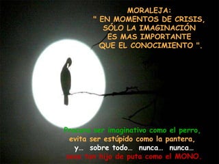 MORALEJA:  " EN MOMENTOS DE CRISIS,  SÓLO LA IMAGINACIÓN  ES MAS IMPORTANTE  QUE EL CONOCIMIENTO ". Procura ser imaginativo como el perro,   evita ser estúpido como la pantera,   y…  sobre todo…  nunca…  nunca… seas tan hijo de puta como el MONO. 