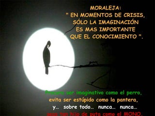MORALEJA:  " EN MOMENTOS DE CRISIS,  SÓLO LA IMAGINACIÓN  ES MAS IMPORTANTE  QUE EL CONOCIMIENTO ". Procura ser imaginativo como el perro,   evita ser estúpido como la pantera,   y…  sobre todo…  nunca…  nunca… seas tan hijo de puta como el MONO. 