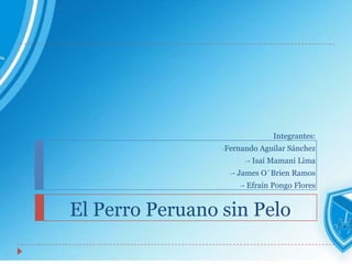 Integrantes:
                 -Fernando        Aguilar Sánchez
                            --   Isaí Mamani Lima
                  --   James O´Brien Ramos
                       --   Efraín Pongo Flores


El Perro Peruano sin Pelo
 