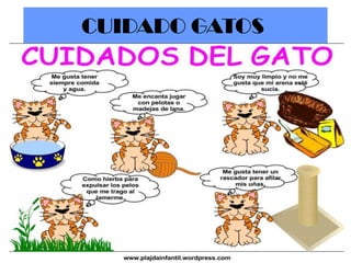 CUIDADO GATOS

 