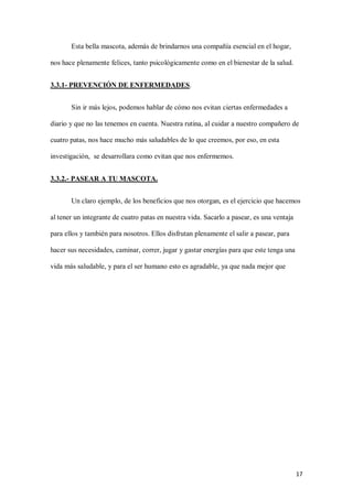 17
Esta bella mascota, además de brindarnos una compañía esencial en el hogar,
nos hace plenamente felices, tanto psicológicamente como en el bienestar de la salud.
3.3.1- PREVENCIÓN DE ENFERMEDADES.
Sin ir más lejos, podemos hablar de cómo nos evitan ciertas enfermedades a
diario y que no las tenemos en cuenta. Nuestra rutina, al cuidar a nuestro compañero de
cuatro patas, nos hace mucho más saludables de lo que creemos, por eso, en esta
investigación, se desarrollara como evitan que nos enfermemos.
3.3.2.- PASEAR A TU MASCOTA.
Un claro ejemplo, de los beneficios que nos otorgan, es el ejercicio que hacemos
al tener un integrante de cuatro patas en nuestra vida. Sacarlo a pasear, es una ventaja
para ellos y también para nosotros. Ellos disfrutan plenamente el salir a pasear, para
hacer sus necesidades, caminar, correr, jugar y gastar energías para que este tenga una
vida más saludable, y para el ser humano esto es agradable, ya que nada mejor que
 