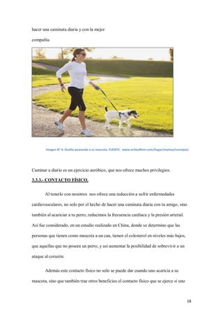 18
hacer una caminata diaria y con la mejor
compañía.
Caminar a diario es un ejercicio aeróbico, que nos ofrece muchos privilegios.
3.3.3.- CONTACTO FÍSICO.
Al tenerlo con nosotros nos ofrece una reducción a sufrir enfermedades
cardiovasculares, no solo por el hecho de hacer una caminata diaria con tu amigo, sino
también al acariciar a tu perro, reducimos la frecuencia cardiaca y la presión arterial.
Así fue considerado, en un estudio realizado en China, donde se determino que las
personas que tienen como mascota a un can, tienen el colesterol en niveles más bajos,
que aquellas que no poseen un perro, y así aumentar la posibilidad de sobrevivir a un
ataque al corazón.
Además este contacto físico no solo se puede dar cuando uno acaricia a su
mascota, sino que también trae otros beneficios el contacto físico que se ejerce si uno
Imagen N° 4: Dueño paseando a su mascota. FUENTE: www.actitudfem.com/hogar/mamas/consejos)
 