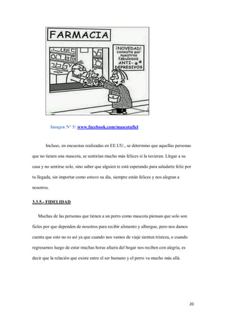 20
Imagen N° 5: www.facebook.com/mascotafiel
Incluso, en encuestas realizadas en EE.UU., se determino que aquellas personas
que no tienen una mascota, se sentirían mucho más felices si la tuvieran. Llegar a su
casa y no sentirse solo, sino saber que alguien te está esperando para saludarte feliz por
tu llegada, sin importar como estuvo su día, siempre están felices y nos alegran a
nosotros.
3.3.5.- FIDELIDAD
Muchas de las personas que tienen a un perro como mascota piensan que solo son
fieles por que dependen de nosotros para recibir alimento y albergue, pero nos damos
cuenta que esto no es así ya que cuando nos vamos de viaje sienten tristeza, o cuando
regresamos luego de estar muchas horas afuera del hogar nos reciben con alegría, es
decir que la relación que existe entre el ser humano y el perro va mucho más allá.
 