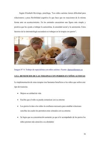 31
Según Elizabeth Reviriego, psicóloga, "Los niños autistas tienen dificultad para
relacionarse y poca flexibilidad cognitiva lo que hace que no reaccionen de la misma
forma ante un acontecimiento. En los animales encuentran una figura más simple y
positiva que les ayuda a trabajar la autoestima, la ansiedad social y la autonomía. Estos
factores de la sintomatología secundaria se trabajan en la terapia con perros”,
Imagen N° 8: Trabajo de especialistas con niños autistas -Fuente: diarioenfermero.es
3.5.3.- BENEFICIOS DE LAS TERAPIAS CON PERROS EN NIÑOS AUTISTAS
La implementación de estas terapias trae bastantes beneficios a los niños que sufren este
tipo de trastorno.
 Mejora su calidad de vida
 Facilita que el niño se pueda comunicar con su entorno
 Los perros le dan a los niños la confianza necesaria para entablar relaciones
sencillas las cuales les permiten estar cómodos con su entorno.
 Se logra que su concentración aumente ya que al ir acompañado de los perros los
niños prestan más atención a su alrededor
 