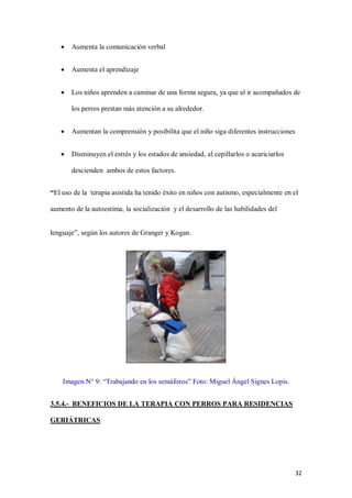 32
 Aumenta la comunicación verbal
 Aumenta el aprendizaje
 Los niños aprenden a caminar de una forma segura, ya que al ir acompañados de
los perros prestan más atención a su alrededor.
 Aumentan la comprensión y posibilita que el niño siga diferentes instrucciones
 Disminuyen el estrés y los estados de ansiedad, al cepillarlos o acariciarlos
descienden ambos de estos factores.
“El uso de la terapia asistida ha tenido éxito en niños con autismo, especialmente en el
aumento de la autoestima, la socialización y el desarrollo de las habilidades del
lenguaje”, según los autores de Granger y Kogan.
Imagen N° 9: “Trabajando en los semáforos” Foto: Miguel Ángel Signes Lopis.
3.5.4.- BENEFICIOS DE LA TERAPIA CON PERROS PARA RESIDENCIAS
GERIÁTRICAS
 