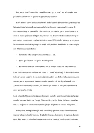 37
Los perros lazarillos también conocido como ‘’perro guía’’ son adiestrados para
poder realizar la labor de guiar a las personas no videntes.
Estos perros, fueron en su comienzo los perros de raza pastor alemán, pero luego de
la iniciación de la segunda guerra mundial se utilizo esta raza para el programa de
fuerzas armadas y se los enviaba a las trincheras, por motivo que el animal empezó a
estar en escasa y la necesidad para las personas con discapacidad visual aumento y de
esta manera comenzaron a trabajar con otras razas. Si bien todas las razas no presentan
las mismas características para poder servir a las personas no videntes se debe cumplir
con determinadas cualidades:
- Su tamaño debe ser aproximadamente de 55 cm.
- Tiene que tener un alto grado de inteligencia.
- Su carácter debe ser sociable tanto con el hombre como con otros animales.
Estas características las cumplen dos razas: El Golden Retriever y el labrador retriever.
Estos presentan un perfil dócil, sin timidez ni miedo y son de fácil adiestramiento, son
además perros seguros ante sucesos extraños y su nivel de inteligencia es elevado.
Además esta raza es muy cariñosa, de manera que aman a su amo porque valoran el
amor que este les brinda.
En la actualidad hay escuelas de adiestramiento para los lazarillos en todas partes del
mundo, como en Sudáfrica, Europa, Norteamérica, Japón, Suiza, Inglaterra y muchos
más. La mayoría de las escuelas tienen su propio programa de crianza para perros.
Para que un perro pueda llegar a ser lazarillo y ayudar a los no videntes se debe
ingresar a la escuela al primer año de edad (12 meses). Pero antes de ingresar, durante
estos doce meses el animal debe empezar a estar en contacto con diferentes estímulos
 