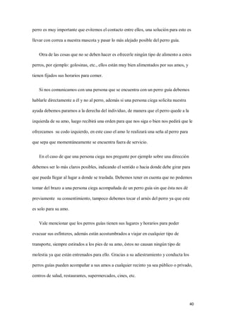 40
perro es muy importante que evitemos el contacto entre ellos, una solución para esto es
llevar con correa a nuestra mascota y pasar lo más alejado posible del perro guía.
Otra de las cosas que no se deben hacer es ofrecerle ningún tipo de alimento a estos
perros, por ejemplo: golosinas, etc., ellos están muy bien alimentados por sus amos, y
tienen fijados sus horarios para comer.
Si nos comunicamos con una persona que se encuentra con un perro guía debemos
hablarle directamente a él y no al perro, además si una persona ciega solicita nuestra
ayuda debemos pararnos a la derecha del individuo, de manera que el perro quede a la
izquierda de su amo, luego recibirá una orden para que nos siga o bien nos pedirá que le
ofrezcamos su codo izquierdo, en este caso el amo le realizará una seña al perro para
que sepa que momentáneamente se encuentra fuera de servicio.
En el caso de que una persona ciega nos pregunte por ejemplo sobre una dirección
debemos ser lo más claros posibles, indicando el sentido o hacia donde debe girar para
que pueda llegar al lugar a donde se traslada. Debemos tener en cuenta que no podemos
tomar del brazo a una persona ciega acompañada de un perro guía sin que ésta nos dé
previamente su consentimiento, tampoco debemos tocar el arnés del perro ya que este
es solo para su amo.
Vale mencionar que los perros guías tienen sus lugares y horarios para poder
evacuar sus esfínteres, además están acostumbrados a viajar en cualquier tipo de
transporte, siempre estirados a los pies de su amo, éstos no causan ningún tipo de
molestia ya que están entrenados para ello. Gracias a su adiestramiento y conducta los
perros guías pueden acompañar a sus amos a cualquier recinto ya sea público o privado,
centros de salud, restaurantes, supermercados, cines, etc.
 