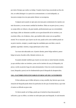 43
por todo el tiempo que realice su trabajo. Cuando el perro haya encontrado un foco de
olor, no sabrá distinguir si es parte de su entrenamiento o si está trabajando, su
inocencia siempre da aviso para poder obtener su recompensa.
Cualquier perro puede ser apto para esta tarea pero comúnmente los machos son
más frecuentes y en una menor cantidad las hembras. Debe ser un perro joven y sano y
su cuerpo debe ser robusto y de gran tamaño, preferentemente que sus extremidades
sean largas, debe ser altamente sociable con un gran desarrollo de los instintos y un
excelente olfato, sin olvidarnos, claro, que también debe contar con un equilibrio
mental. No es necesario que el perro sea de raza, puede serlo como también puede ser
un perro mestizo, siempre y cuando tenga las cualidades para esta labor, como la
agilidad, seguridad, valentía y tenga aptitud para salvar vidas.
Las razas más adecuadas son: el pastor alemán, pastor belga malinois, pastor
belga tervueren, boorder collie, labrador retriever, etc.
Se puede entender también que el perro en esta tarea se siente bastante cómodo,
ya que satisface todos sus instintos, como son los instintos de caza, de búsqueda y de
presa y recibe un premio luego de cada entrenamiento. Estos tres recién mencionados
(caza, búsqueda y presa) son los fundamentales para la búsqueda de desaparecidos.
3.8.1.- FACTORES INFLUENCIABLES EN RESCATE DE CATÁSTROFES.
Si bien sabemos que el olfato del perro es muy sensible, hay factores que en una
situación de búsqueda puede alterar las partículas de olor que el animal desea y que todo
el rastreo se dificulte un poco más.
Un factor puede ser la fatiga, puede que el animal no haya descansado lo
suficiente y que su olfato y su ánimo no estén aptos para una búsqueda, lo cual atrasaría
 