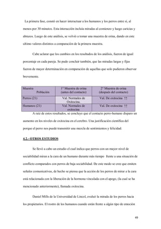 49
La primera fase, constó en hacer interactuar a los humanos y los perros entre sí, al
menos por 30 minutos. Esta interacción incluía miradas al comienzo y luego caricias y
abrazos. Luego de este análisis, se volvió a tomar una muestra de orina, dando en este
ultimo valores distintos a comparación de la primera muestra.
Cabe aclarar que los cambios en los resultados de los análisis, fueron de igual
porcentaje en cada pareja. Se pudo concluir también, que las miradas largas y fijas
fueron de mayor determinación en comparación de aquellas que solo pudieron observar
brevemente.
A raíz de estos resultados, se concluyo que el contacto perro-humano disparo un
aumento en los niveles de oxitocina en el cerebro. Una justificación científica del
porque el perro nos puede transmitir una mezcla de sentimientos y felicidad.
4.2.- OTROS ESTUDIOS
Se llevó a cabo un estudio el cual indica que perros con un mayor nivel de
sociabilidad miran a la cara de un humano durante más tiempo frente a una situación de
conflicto comparados con perros de baja sociabilidad. De este modo se cree que emiten
señales comunicativas, de hecho se piensa que la acción de los perros de mirar a la cara
está relacionada con la liberación de la hormona vinculada con el apego, (la cual se ha
mencionado anteriormente), llamada oxitocina.
Daniel Mills de la Universidad de Lincol, evaluó la mirada de los perros hacia
los propietarios. El rostro de los humanos cuando están frente a algún tipo de emoción
Muestra
Población
1° Muestra de orina
(antes del contacto)
2° Muestra de orina
(después del contacto)
Perros (21) Val. Normales de
Oxitocina.
Val. De oxitocina ↑↑
Humanos (21) Val. Normales de
oxitocina
Val. De oxitocina ↑↑
 