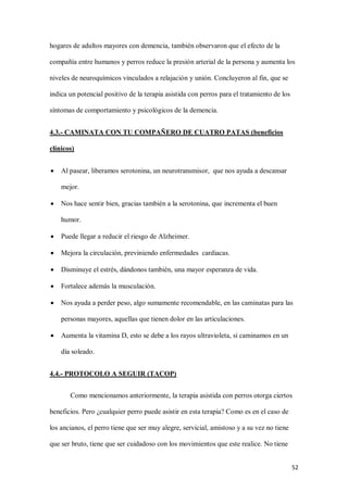 52
hogares de adultos mayores con demencia, también observaron que el efecto de la
compañía entre humanos y perros reduce la presión arterial de la persona y aumenta los
niveles de neuroquímicos vinculados a relajación y unión. Concluyeron al fin, que se
indica un potencial positivo de la terapia asistida con perros para el tratamiento de los
síntomas de comportamiento y psicológicos de la demencia.
4.3.- CAMINATA CON TU COMPAÑERO DE CUATRO PATAS (beneficios
clínicos)
 Al pasear, liberamos serotonina, un neurotransmisor, que nos ayuda a descansar
mejor.
 Nos hace sentir bien, gracias también a la serotonina, que incrementa el buen
humor.
 Puede llegar a reducir el riesgo de Alzheimer.
 Mejora la circulación, previniendo enfermedades cardiacas.
 Disminuye el estrés, dándonos también, una mayor esperanza de vida.
 Fortalece además la musculación.
 Nos ayuda a perder peso, algo sumamente recomendable, en las caminatas para las
personas mayores, aquellas que tienen dolor en las articulaciones.
 Aumenta la vitamina D, esto se debe a los rayos ultravioleta, si caminamos en un
día soleado.
4.4.- PROTOCOLO A SEGUIR (TACOP)
Como mencionamos anteriormente, la terapia asistida con perros otorga ciertos
beneficios. Pero ¿cualquier perro puede asistir en esta terapia? Como es en el caso de
los ancianos, el perro tiene que ser muy alegre, servicial, amistoso y a su vez no tiene
que ser bruto, tiene que ser cuidadoso con los movimientos que este realice. No tiene
 