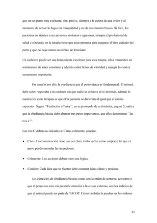 53
que ser un perro muy excitante, sino pasivo, siempre a la espera de una orden y al
momento de actuar lo haga con tranquilidad y no de una manera brusca. Si bien, los
pacientes no tienden a ser personas violentas o agresivas, siempre el profesional de
salud o el técnico en la terapia tiene que estar presenta para asegurar el bien cuidado del
perro y que no haya nunca un evento de ferocidad.
Un cachorro puede ser una herramienta excelente para esta terapia; ellos transmiten un
sentimiento de amor constante y además están llenos de vitalidad y energía lo cual es
sumamente importante.
Sin pasarlo por alto, la obediencia que el perro ejerza es fundamental. El animal,
debe saber responder a las ordenes sin que nadie lo esfuerce ni lo intimide, además lo
esencial en estas terapias es que el/la paciente se diviertan al igual que el canino
expuesto. Según ‘’Fundación affinity’’, en su protocolo de actividades, página 5, indica
que la obediencia básica debe abarcar tres pasos importantes, que ellos denominan ‘’las
tres C’’.
Las tres C deben sus iníciales a: Claro, coherente, conciso.
 Claro: La comunicación tiene que ser clara, tanto verbal como corporal, tal que el
perro puede entender las intenciones.
 Coherente: Las acciones deben tener una lógica.
 Conciso: Cada idea que se plantee debe contener ideas claras y precisas.
Los ejercicios de obediencia básicas como son la orden de sentarse, acostarse o
que el perro nos mire sin prestarle atención a las cosas externas, son los indicios de
que el animal puede ser parte de TACOP. Como también lo pueden ser las ordenes
 