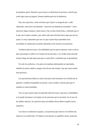 54
de quedarse quieto, llamarlo y que el perro se dirija hacia la persona, o decirle que
suelte algo como un juguete, forman también parte de la obediencia.
Hay otros ejercicios, como son hacer que el perro se ponga de pie, o salte
obstáculos, entre otros son llamados ‘’ejercicios de obediencia avanzados’’. Estos
ejercicios llegan semanas y hasta meses. Esto se hace forma lenta, y sabiendo que es
lo que uno le quiere enseñar y por sobre todo nunca forzarlo hacer algo que este no
quiera. Es muy importante que una vez que el perro haya aprendido estas
actividades se repitan para así poder aplicarlas en las sesiones con pacientes.
También están los trucos o las habilidades que los perros aportan, como es dar la
pata, que ponga su cabeza en el regazo de las personas, y no olvidar nunca premiar
al perro luego de cada logro para que se sienta feliz y satisfecho por el aprendizaje.
No solo los cachorros, o los perros de mediana edad pueden ser ejercitados,
también los perros adultos, aunque estos llevan más tiempo y hay que tener mucha
más paciencia.
Las ejercitaciones deben ser más cortas pero más frecuentes con el hecho de no
agotarlo y también otorgándole un premio, como comida o caricias para que el
también se sienta triunfador.
Una vez que el perro haya incorporado todos los trucos, ejercicios y habilidades
se lo puede incorporar a la terapia con las personas que lo necesiten. En el caso de
los adultos mayores, los ejercicios para actividades físicas deben cumplir ciertos
requisitos:
Las tareas se realizaran en grupos, y las personas que estén en el recibirán una
mejora en su estado físico. El objetivo será mejorar su equilibrio motriz, potenciar
 