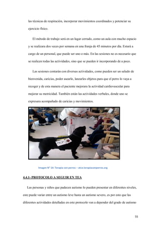 55
las técnicas de respiración, incorporar movimientos coordinados y potenciar su
ejercicio físico.
El método de trabajo será en un lugar cerrado, como un aula con mucho espacio
y se realizara dos veces por semana en una franja de 45 minutos por día. Estará a
cargo de un personal, que puede ser uno o más. En las sesiones no es necesario que
se realicen todas las actividades, sino que se pueden ir incorporando de a poco.
Las sesiones contarán con diversas actividades, como pueden ser un saludo de
bienvenida, caricias, poder asearlo, lanzarles objetos para que el perro lo vaya a
recoger y de esta manera el paciente mejorara la actividad cardiovascular para
mejorar su motricidad. También están las actividades verbales, donde uno se
expresara acompañado de caricias y movimientos.
Imagen N° 14: Terapia con perros – atce.terapiaconperros.org
4.4.1- PROTOCOLO A SEGUIR EN TEA
Las personas y niños que padecen autismo lo pueden presentar en diferentes niveles,
este puede variar entre un autismo leve hasta un autismo severo, es por esto que las
diferentes actividades detalladas en este protocolo van a depender del grado de autismo
 