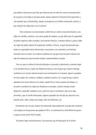 56
que padezca la persona, pero hay que destacar que en todos los casos la incorporación
de un perro a la terapia es de gran ayuda, logran capturar la atención de los pacientes y
esto permite que se desarrollen, tengan un progreso en el ámbito emocional, creativo y
que mejoren las relaciones con su entorno.
Para comenzar con esta terapia se debe llevar a cabo la elección del perro, este
debe ser sociable, amistoso, con cierto grado de madurez ya que debe tener la capacidad
de poder soportar ruidos extraños, movimientos bruscos, contactos fuertes y gritos, debe
ser capaz de poder esperar las respuestas verbales o físicas, ya que hay personas que
tienen su capacidad motriz disminuida y reaccionan a los estímulos con lentitud,
teniendo esto en cuenta los cachorros podrían ser una gran elección para realizar este
tipo de terapias por que trasmiten alegría, espontaneidad y energía.
Una vez que se realiza la elección del perro se procede a adiestrarlo, en primer lugar
se le enseñan trucos y reglas de obediencia básicas, éstas logran que el perro obtenga
confianza en si mismo además de provocar un bienestar en el animal, algunos ejemplos
de estas reglas son: sentarse, tumbarse, quedarse quietos, etc. Luego de que el perro
aprende estos trucos básicos, los cuáles puede llevar varias semanas de trabajo, se
procede a enseñarle las reglas de obediencia avanzadas, el perro siempre estará
dispuesto a aprender cualquier cosa o ejercicio que le enseñemos, para el es algo
divertido y que le resulta interesante, algunos ejemplos de este tipo de ejercicios son:
marcha atrás, subir y bajar una rampa, salto de obstáculos, etc.
Finalmente una vez que el perro fue adiestrado adecuadamente se podrá dar comienzo
a la terapia con las personas que padecen TEA. A continuación se describirán los pasos
a seguir en una sesión de la terapia.
En primer lugar mencionaremos a las personas que forman parte de la sesión:
 