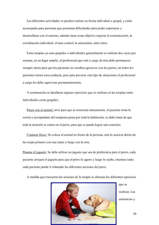 59
Las diferentes actividades se pueden realizar en forma individual o grupal, y están
aconsejadas para personas que presentan dificultades para poder expresarse y
desarrollarse con el entorno, además tiene como objetivo mejorar la comunicación, la
coordinación individual, el auto control, la autoestima, entre otros.
Estas terapias ya sean grupales o individuales generalmente se realizan dos veces por
semana, en un lugar amplio, el profesional que esté a cargo de ésta debe permanecer
siempre alerta para que los pacientes no resulten agresivos con los perros, no todos los
pacientes tienen esta conducta, pero para prevenir este tipo de situaciones el profesional
a cargo los debe supervisar permanentemente.
A continuación se detallaran algunos ejercicios que se realizan en las terapias tanto
individuales como grupales:
Paseo con el animal: sirve para que se conozcan mutuamente, el paciente toma la
correa y acompañado del terapeuta pasea por toda la habitación, se debe tratar de que
toda la atención se centre en el perro, para que se pueda lograr una conexión.
Contacto físico: Se coloca al animal en frente de la persona, esta lo acaricia detrás de
las orejas primero con una mano y luego con la otra.
Pásame el juguete: Se debe utilizar un juguete que sea de preferencia para el perro, cada
paciente arrojará el juguete para que el perro lo agarre y luego lo suelte, mientras tanto
cada paciente puede ir relatando las diferentes acciones del perro.
A medida que trascurren las sesiones de la terapia se alternan los diferentes ejercicios
que se
realizan. Las
asistencias y
 