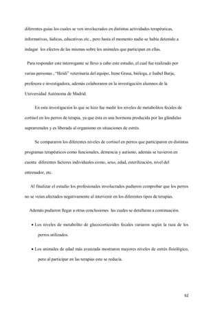 62
diferentes guías los cuales se ven involucrados en distintas actividades terapéuticas,
informativas, lúdicas, educativas etc., pero hasta el momento nadie se había detenido a
indagar los efectos de las mismas sobre los animales que participan en ellas.
Para responder este interrogante se llevo a cabo este estudio, el cual fue realizado por
varias personas , “Heidi” veterinaria del equipo, Irene Grasa, bióloga, e Isabel Barja,
profesora e investigadora, además colaboraron en la investigación alumnos de la
Universidad Autónoma de Madrid.
En esta investigación lo que se hizo fue medir los niveles de metabolitos fecales de
cortisol en los perros de terapia, ya que ésta es una hormona producida por las glándulas
suprarrenales y es liberada al organismo en situaciones de estrés.
Se compararon los diferentes niveles de cortisol en perros que participaron en distintas
programas terapéuticos como funcionales, demencia y autismo, además se tuvieron en
cuenta diferentes factores individuales como, sexo, edad, esterilización, nivel del
entrenador, etc.
Al finalizar el estudio los profesionales involucrados pudieron comprobar que los perros
no se veían afectados negativamente al intervenir en los diferentes tipos de terapias.
Además pudieron llegar a otras conclusiones las cuales se detallaran a continuación.
 Los niveles de metabolito de glucocorticoides fecales variaron según la raza de los
perros utilizados.
 Los animales de edad más avanzada mostraron mayores niveles de estrés fisiológico,
pero al participar en las terapias este se reducía.
 