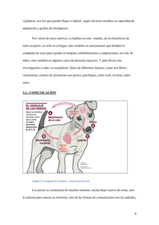 8
vigilancia, son los que pueden llegar a indicar según diversos estudios su capacidad de
adaptación y grados de inteligencia.
Por varios de estos motivos, se hablara en este estudio, de los beneficios de
tener un perro, no solo en el hogar, sino también en asociaciones que brindan la
compañía de estos para ayudar en terapias, rehabilitaciones y adaptaciones, no solo de
niños, sino también en algunos casos de personas mayores. Y para llevar esta
investigación a cabo, se recopilaran datos de diferentes fuentes, como son libros,
veterinarias, centros de asistencias con perros, psicólogos, sitios web, revistas, entre
otros.
3.1.- COMUNICACIÓN
Imagen n°1: Lenguaje de los perros – www.mascotas.com
Los perros se comunican de muchas maneras, suelen dejar rastros de orina, esto
lo utilizan para marcar su territorio, otra de las formas de comunicación son los ladridos,
 