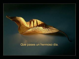 Que pases un hermoso día.
 