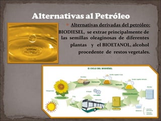  Alternativas derivadas del petróleo:

BIODIESEL, se extrae principalmente de
las semillas oleaginosas de diferentes
plantas y el BIOETANOL, alcohol
procedente de restos vegetales.

 