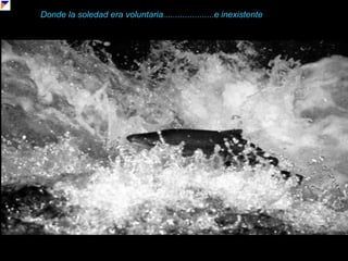 Donde la soledad era voluntaria.....................e inexistente