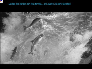 Donde sin contar con los demás... Un sueño no tiene sentido.