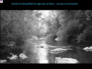 Donde la tranquilidad es algo que se lleva....no que se encuentra