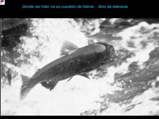 Donde ser líder no es cuestión de liderar... Sino de liderarse