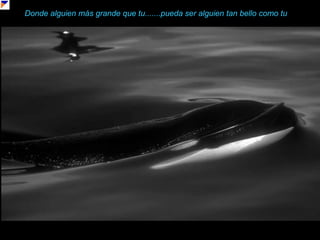 Donde alguien más grande que tu.......pueda ser alguien tan bello como tu