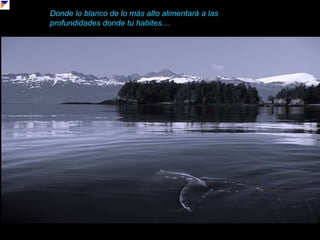 Donde lo blanco de lo más alto alimentará a las profundidades donde tu habites....