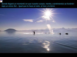 Donde llegará un momento en que nuestro cuerpo, mente y sentimientos se fundirán bajo un único Sol... Igual que lo hace el cielo, el mar y la tierra