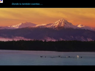 Donde tu también cuentas.....o