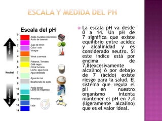

La escala pH va desde
0 a 14. Un pH de
7 significa que existe
equilibrio entre acidez
y alcalinidad y es
considerado neutro. Si
este índice está por
encima
de
7,8(excesivamente
alcalino) ó por debajo
de 7 (ácido) existe
riesgo para la salud. El
sistema que regula el
pH
en
nuestro
organismo
intenta
mantener el pH en 7,4
(ligeramente alcalino)
que es el valor ideal.

 