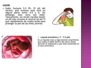 SUDOR
 Sudor humano 5.5 Ph. El pH del
normal, piel humana sana está en
alguna parte entre 4.5 y 6. Sin
embargo, esto varía con edad.
Típicamente, los recién nacidos tienen
un pH más cercano al neutral (el pH 7)
que rápidamente da vuelta ácido para
proteger la piel de los niños jovenes.

Liquido Amniótico.( 7 - 7.5 pH)
Es un líquido claro y ligeramente amarillento
que rodea el bebé dentro del útero (feto)
durante el embarazo y que está contenido en
el saco amniótico.


 