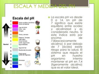 ESCALA Y MEDIDA DEL PH


La escala pH va desde
0 a 14. Un pH de
7 significa que existe
equilibrio entre acidez
y alcalinidad y es
considerado neutro. Si
este índice está por
encima
de
7,8(excesivamente
alcalino) ó por debajo
de 7 (ácido) existe
riesgo para la salud. El
sistema que regula el
pH
en
nuestro
organismo
intenta
mantener el pH en 7,4
(ligeramente alcalino)
que es el valor ideal.

 