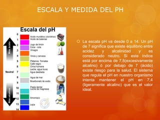 ESCALA Y MEDIDA DEL PH

 La escala pH va desde 0 a 14. Un pH
de 7 significa que existe equilibrio entre
acidez
y
alcalinidad
y
es
considerado neutro. Si este índice
está por encima de 7,8(excesivamente
alcalino) ó por debajo de 7 (ácido)
existe riesgo para la salud. El sistema
que regula el pH en nuestro organismo
intenta mantener el pH en 7,4
(ligeramente alcalino) que es el valor
ideal.

 