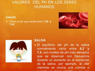 VALORES DEL PH EN LOS SERES
HUMANOS
SANGRE

 Tiene un ph que oscila entre 7,36 y
7,42

SALIVA
 El equilibrio del pH de la saliva
normalmente varía entre 6,2 y
7,4, con niveles de pH más elevados
que se observan con frecuencia
durante un aumento en la secreción
de la saliva, por ejemplo, al oler
mientras se cocina una comida o

 