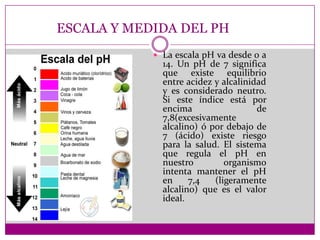 ESCALA Y MEDIDA DEL PH
 La escala pH va desde 0 a

14. Un pH de 7 significa
que existe equilibrio
entre acidez y alcalinidad
y es considerado neutro.
Si este índice está por
encima
de
7,8(excesivamente
alcalino) ó por debajo de
7 (ácido) existe riesgo
para la salud. El sistema
que regula el pH en
nuestro
organismo
intenta mantener el pH
en
7,4
(ligeramente
alcalino) que es el valor
ideal.

 