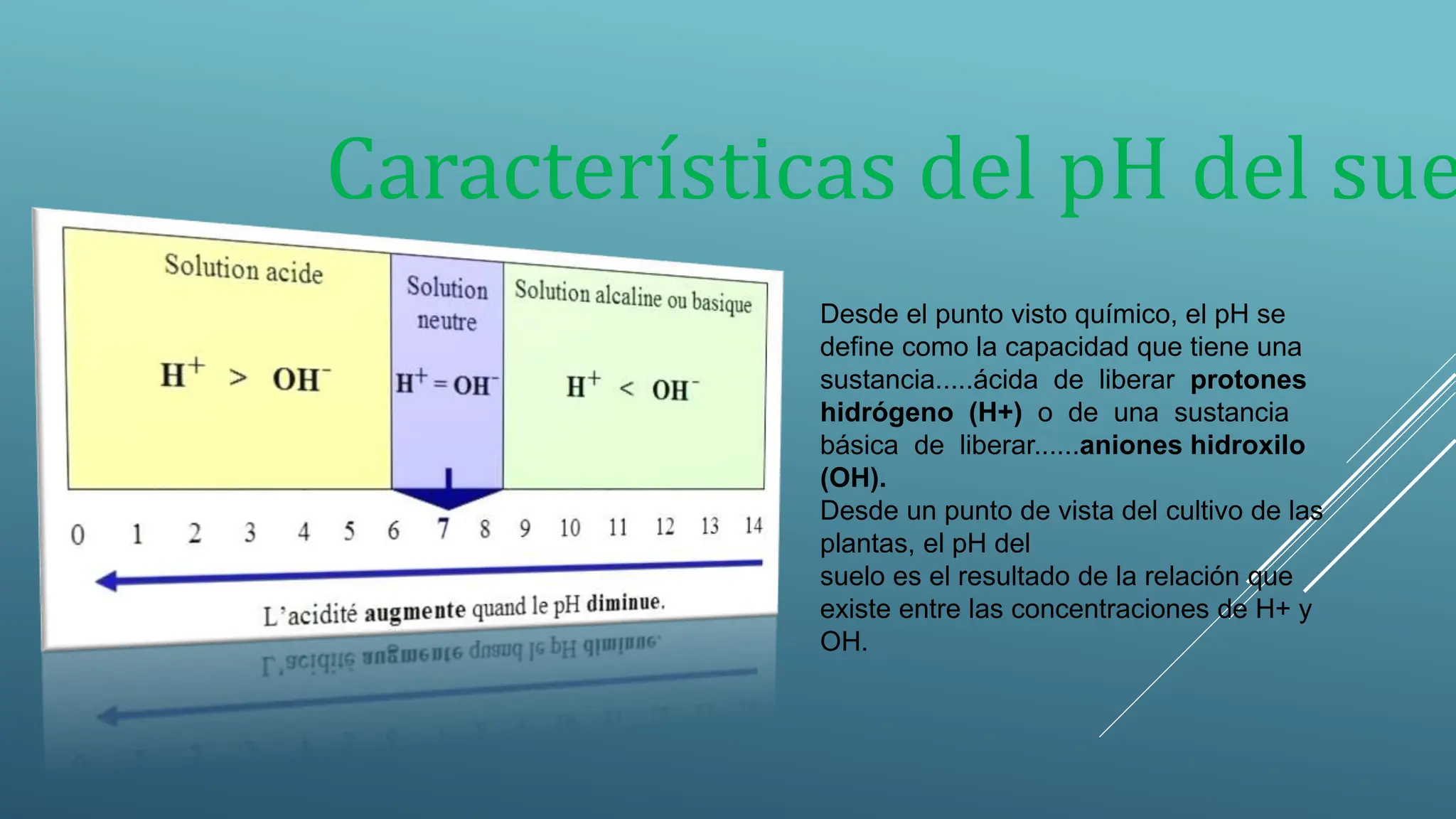 PRINCIPALES CARACTERISTICAS DE EL PH.pptx