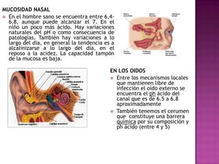 MUCOSIDAD NASAL
 En el hombre sano se encuentra entre 6,46,8, aunque puede alcanzar el 7. En el
niño un poco más ácido. Hay variaciones
naturales del pH o como consecuencia de
patologías. También hay variaciones a lo
largo del dia, en general la tendencia es a
alcalinizarse a lo largo del día, en el
reposo a la acidez. La capacidad tampón
de la mucosa es baja.

EN LOS OIDOS
 Entre los mecanismos locales
que mantienen libre de
infección el oído externo se
encuentra el ph ácido del
canal que es de 6.5 a 6.8
aproximadamente
 También tenemos el cerumen
que constituye una barrera
química por su composición y
ph ácido (entre 4 y 5)

 