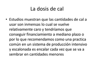 La dosis de cal
• Estudios muestran que las cantidades de cal a
usar son inmensas lo cual se vuelve
relativamente caro y tendríamos que
conseguir financiamiento a mediano plazo o
por lo que recomendamos como una practica
común en un sistema de producción intensivo
y escalonada es encalar cada vez que se va a
sembrar en cantidades menores
 