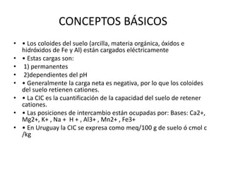 CONCEPTOS BÁSICOS
• • Los coloides del suelo (arcilla, materia orgánica, óxidos e
hidróxidos de Fe y Al) están cargados eléctricamente
• • Estas cargas son:
• 1) permanentes
• 2)dependientes del pH
• • Generalmente la carga neta es negativa, por lo que los coloides
del suelo retienen cationes.
• • La CIC es la cuantificación de la capacidad del suelo de retener
cationes.
• • Las posiciones de intercambio están ocupadas por: Bases: Ca2+,
Mg2+, K+ , Na + H + , Al3+ , Mn2+ , Fe3+
• • En Uruguay la CIC se expresa como meq/100 g de suelo ó cmol c
/kg
 