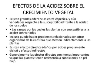 EFECTOS DE LA ACIDEZ SOBRE EL
CRECIMIENTO VEGETAL
• Existen grandes diferencias entre especies, y aún
variedades respecto a la susceptibilidad frente a la acidez
de los suelos
• • Las causas por las cuales las plantas son susceptibles a la
acidez son variadas
• Incluso puede haber problemas relacionados con otros
organismos de la rizósfera que afecten indirectamente a las
plantas
• Existen efectos directos (daños por acidez propiamente
dicha) y efectos indirectos
• Generalmente los efectos directos son menos importantes
ya que las plantas tienen resistencia a condiciones de pH
bajo
 